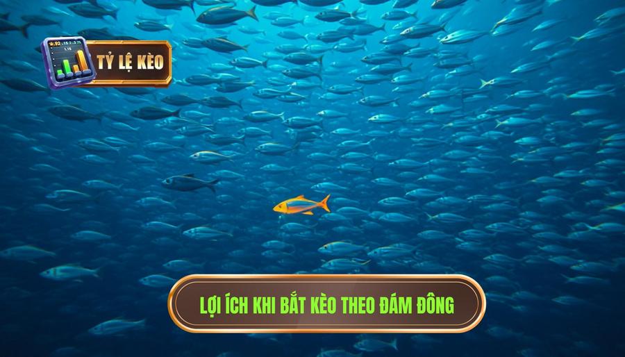 Phân tích ưu điểm: Khi nào bắt kèo theo đám đông là "Lợi"?